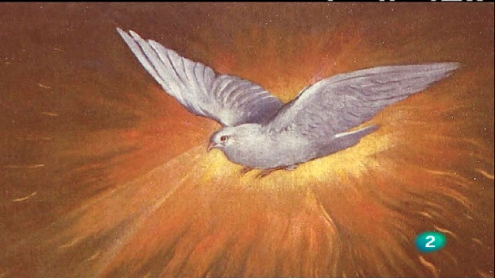 Testimonio - 19/12/10 - Testimonio | Ver