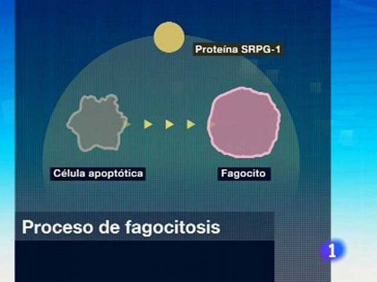 Ciencia y tecnología en Rtve.es - Nuevo paso en la lucha contra el cá