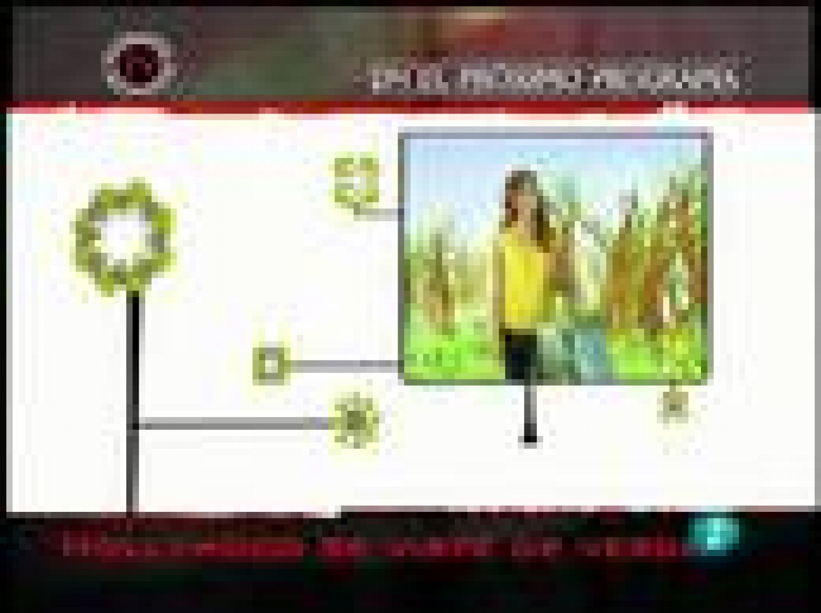 Documentos TV - Hollywood se viste de verde - Documentos TV | Ver