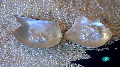 Pasión por Margarita