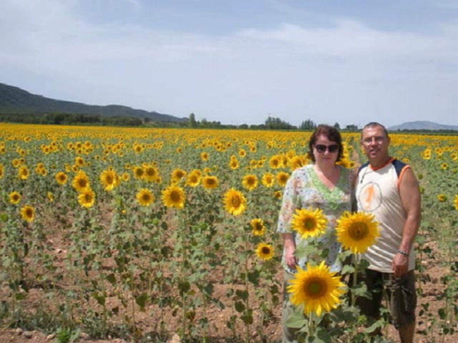 El 2010 de los internautas | Ver