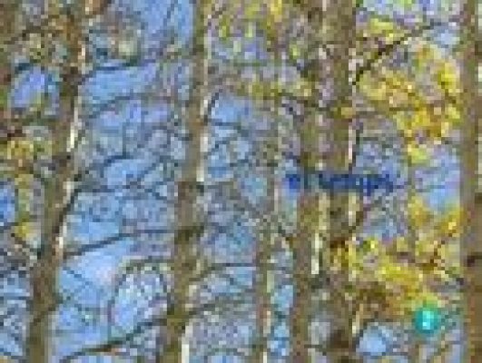 L'Informatiu - El temps en Catalunya - 20/12/10