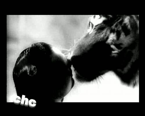 Cómo hemos cambiado - Animaladas - Avance