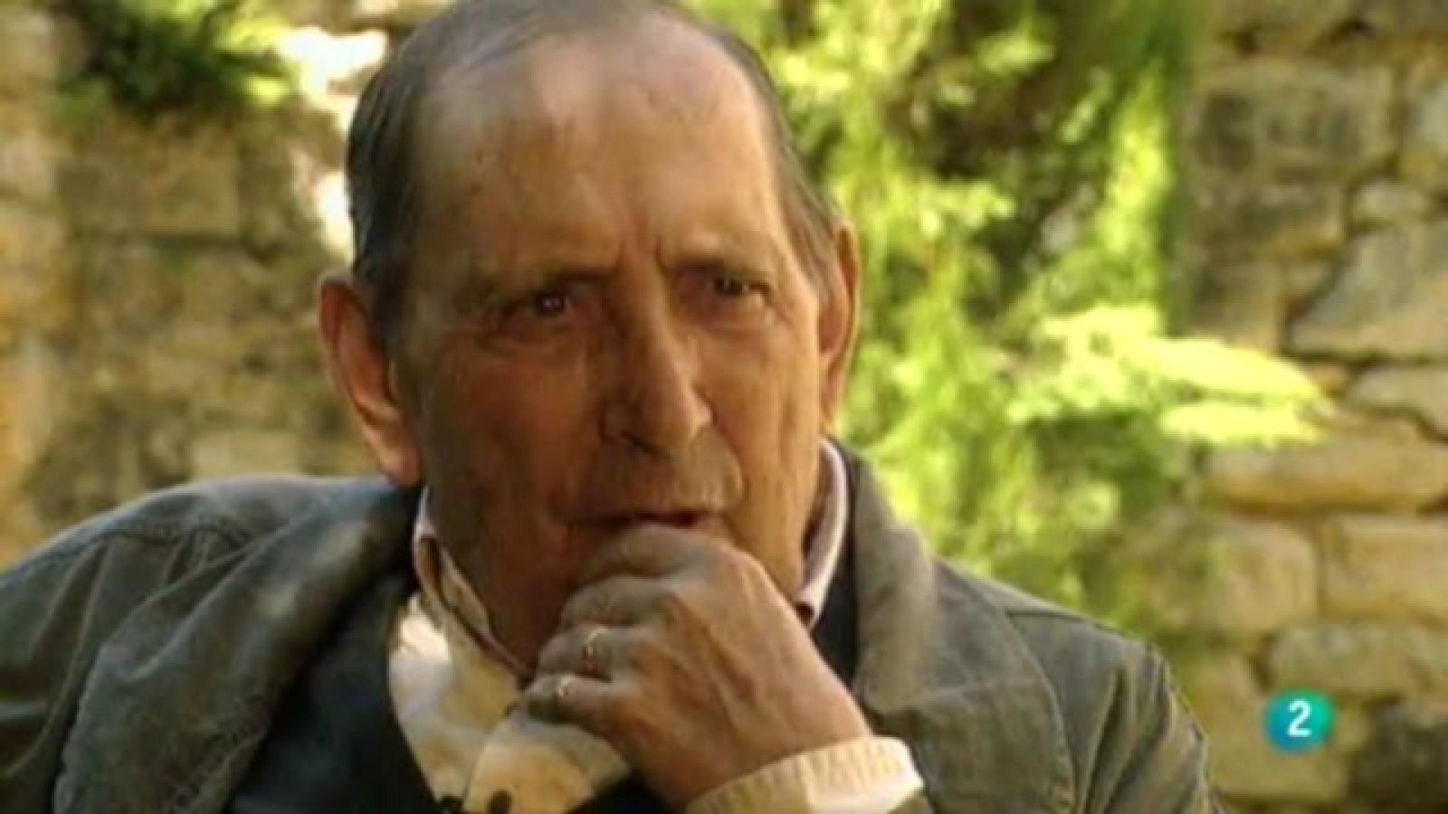  El escarabajo verde - Miguel Delibes, paisajes con palabras - Ver ahora