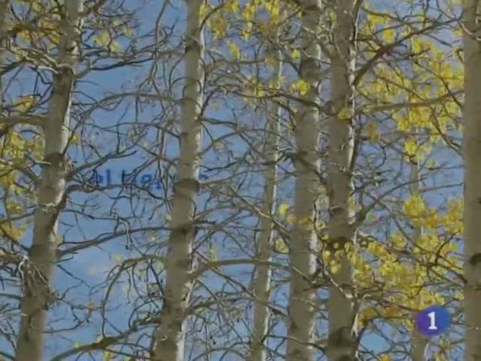 El tiempo en Castilla-La Mancha - 21/12/10