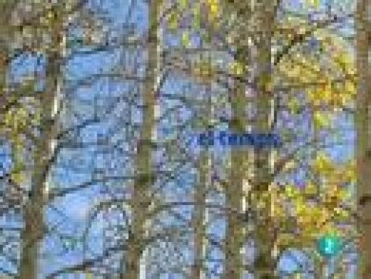 L'Informatiu - El temps en Catalunya - 21/12/10