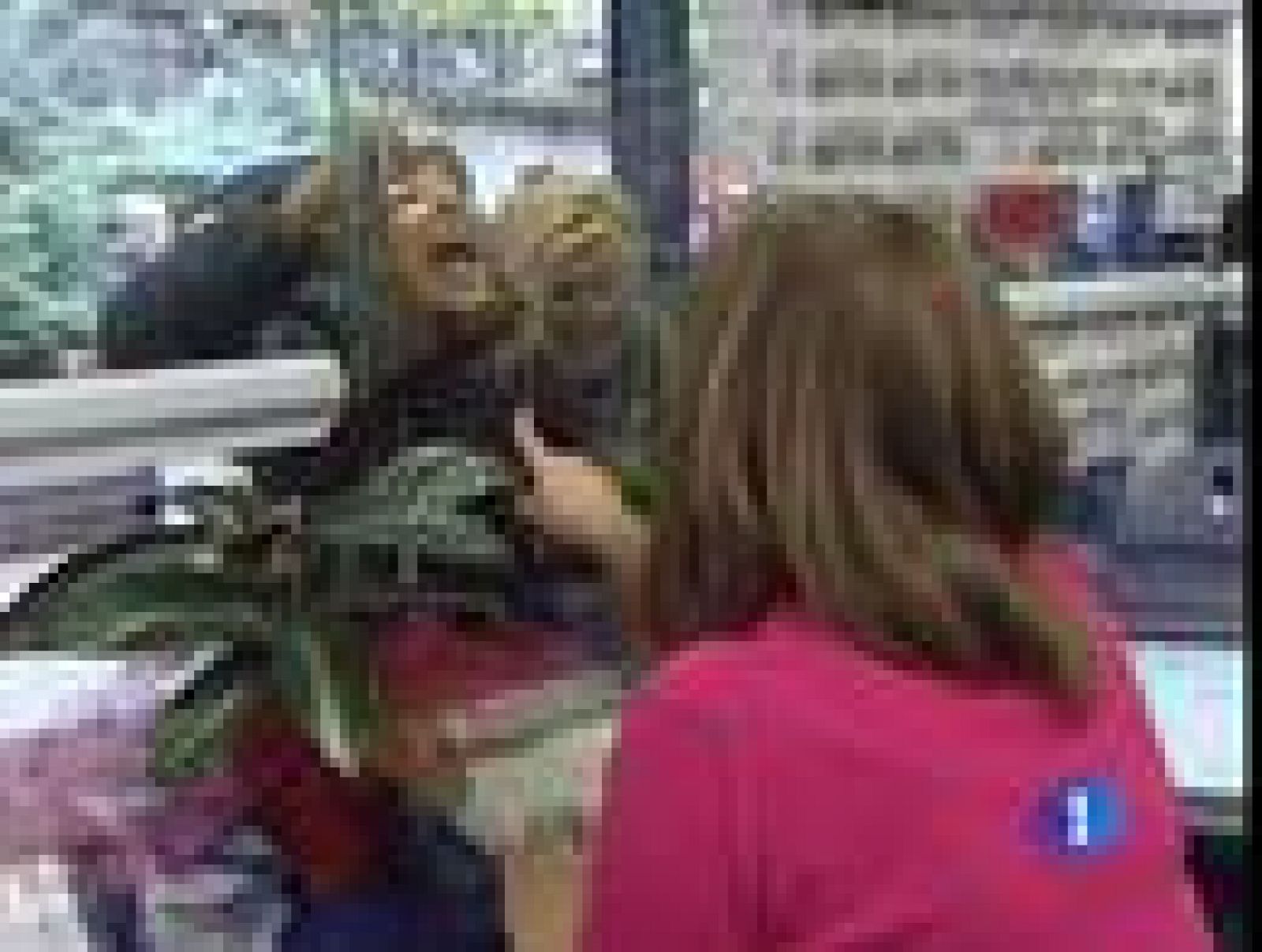 La mayor parte de las series del gordo se han vendido en la provincia de Barcelona