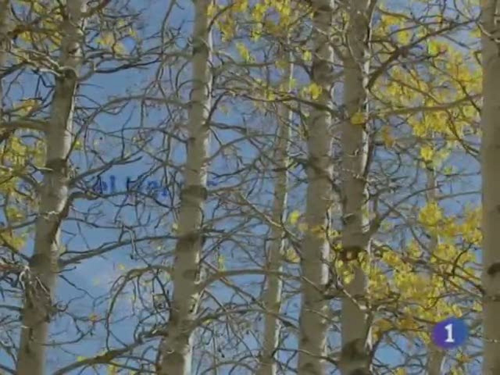 El tiempo en Castilla-La Mancha - 22/12/10