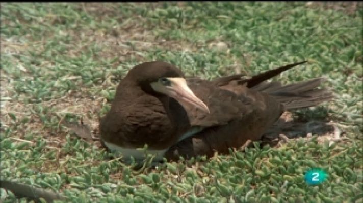  - El hombre y la Tierra