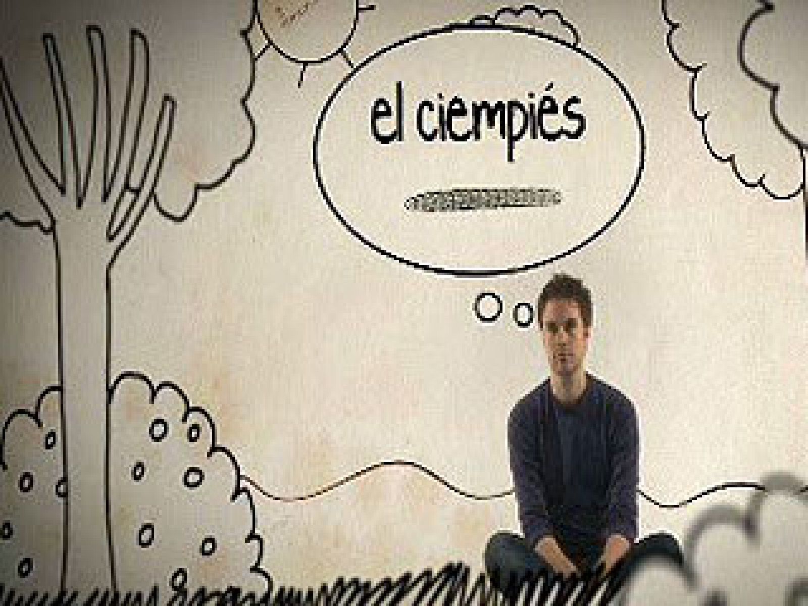 Zzz - Cuento de buenas noches - Insectos mágicos