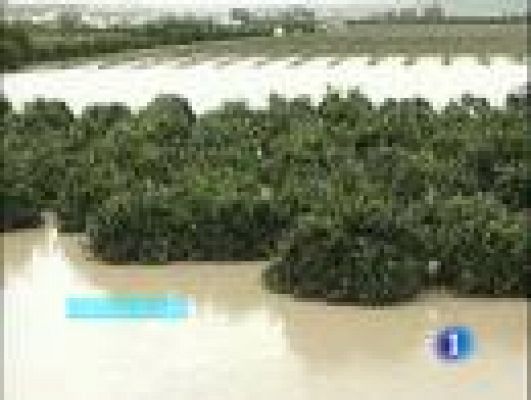 Telediario 1 - Pendientes del agua en Andalucía