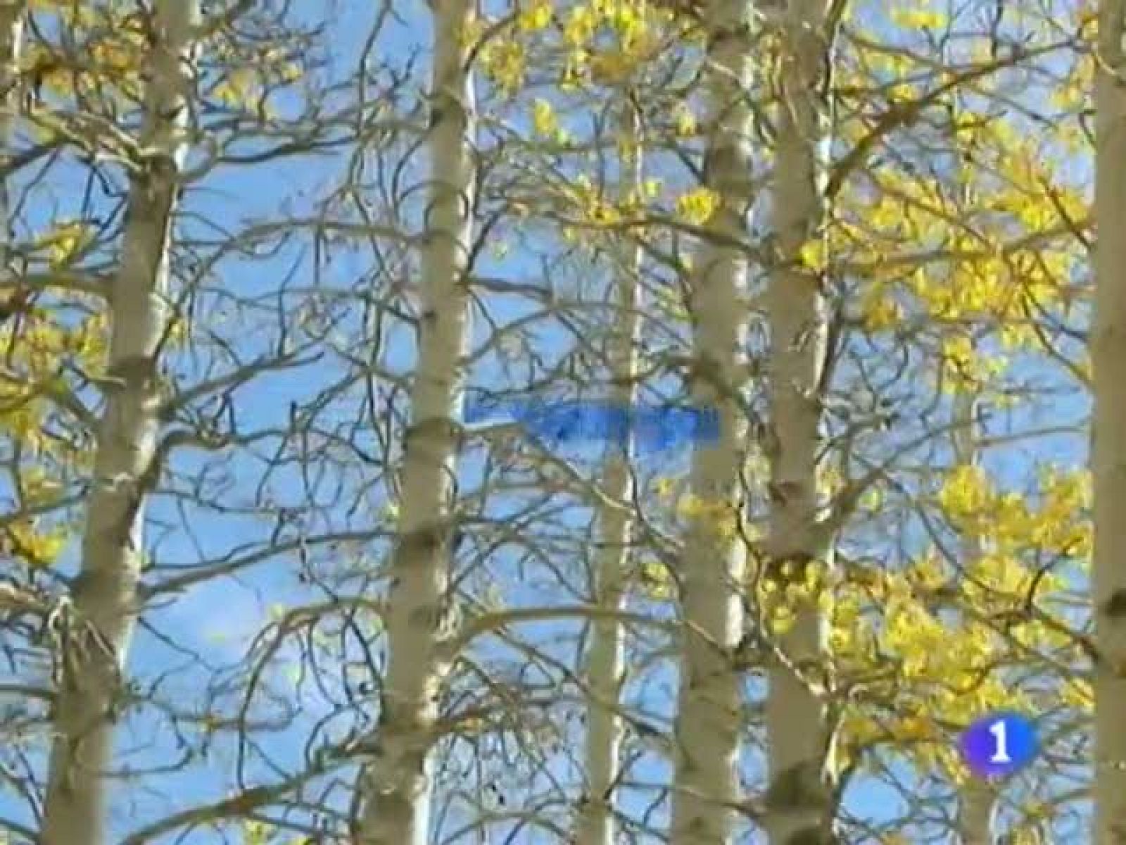 El tiempo en Canarias - 23/12/10 | Ver