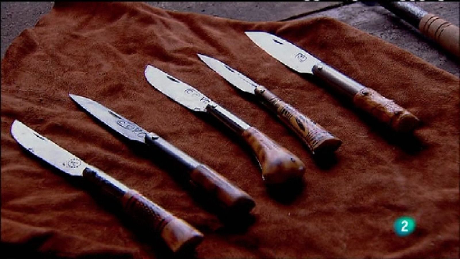 Biodiario - 23/12/10 - Biodiario | Ver