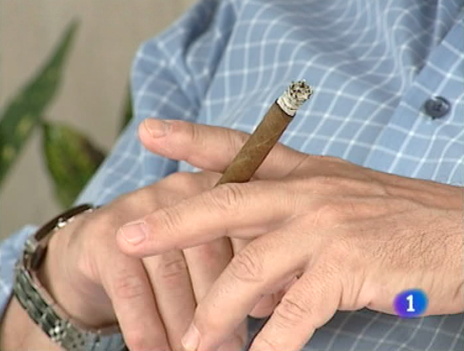 Panorama regional - 24/12/10 - Panorama Regional | Ver