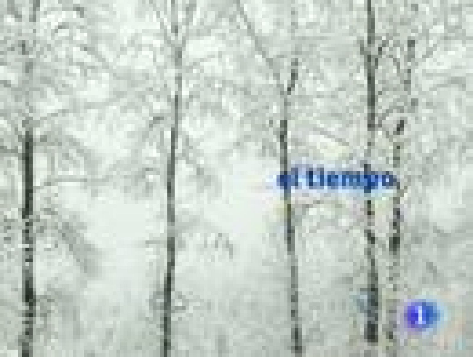 El Tiempo en la Comunidad de Murcia. (24/12/2010).