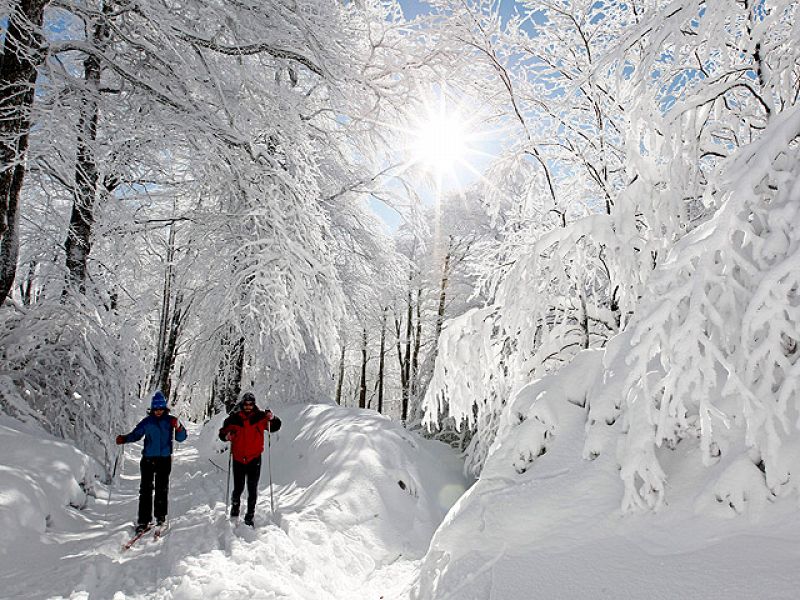 Telediario en cuatro minutos (26/12/2010) 