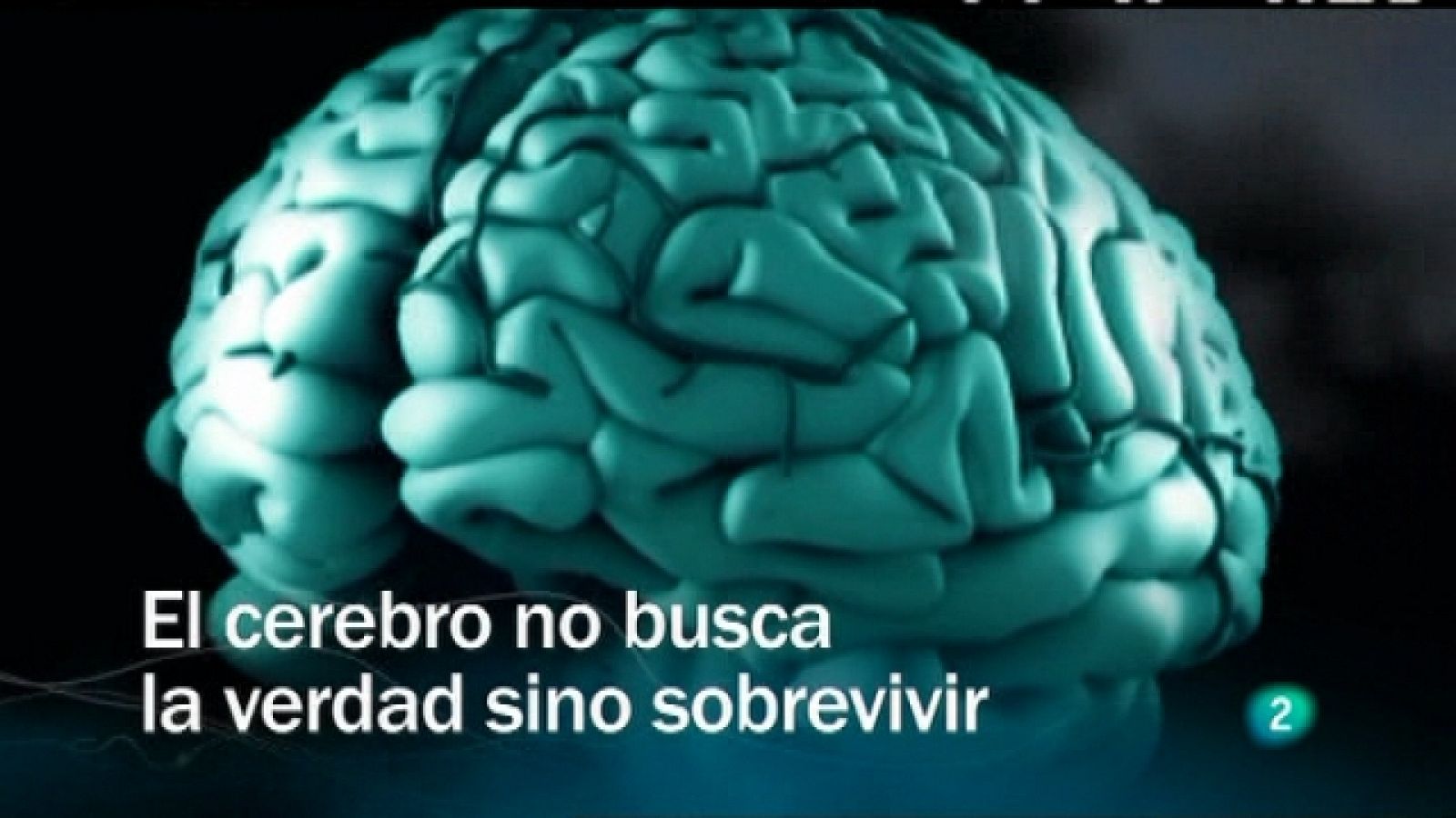 Redes - El cerebro no busca la verdad sino sobrevivir