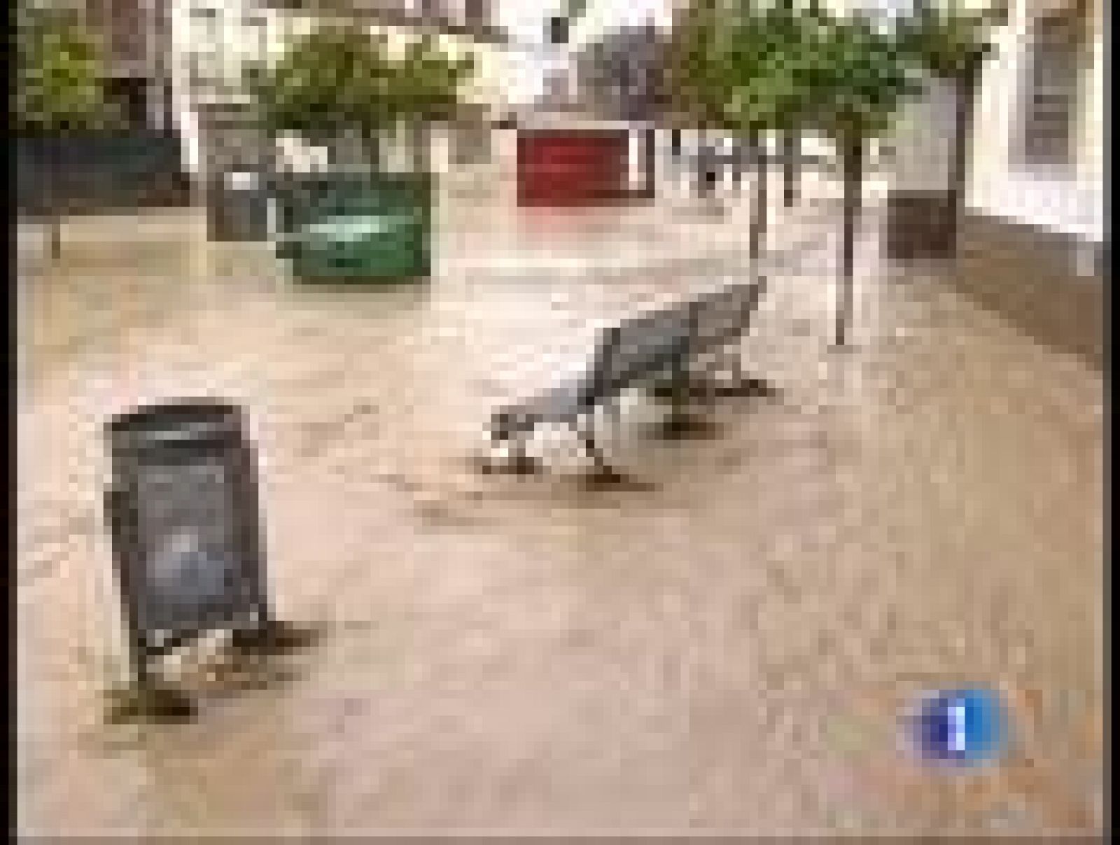 Telediario 1: Afectados por las inundaciones | RTVE Play