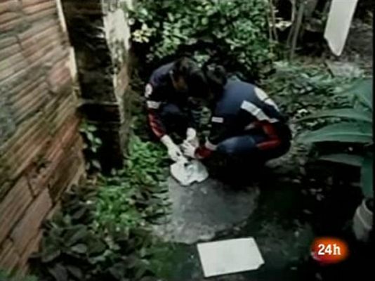  - Milagroso rescate de un recién nacido en Brasil que había sido abandonado por su madre
