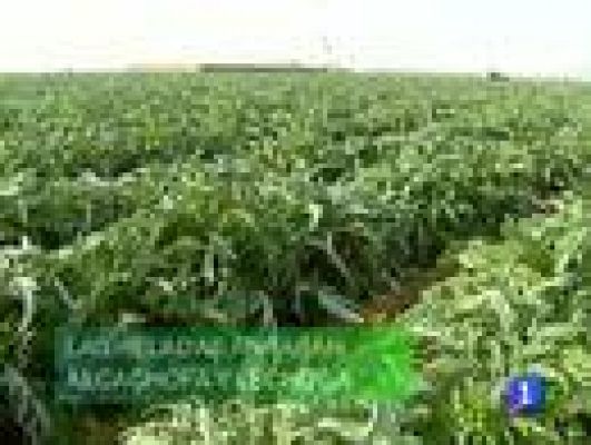 Noticias Murcia - Región de Murcia en 2' - 28/12/10