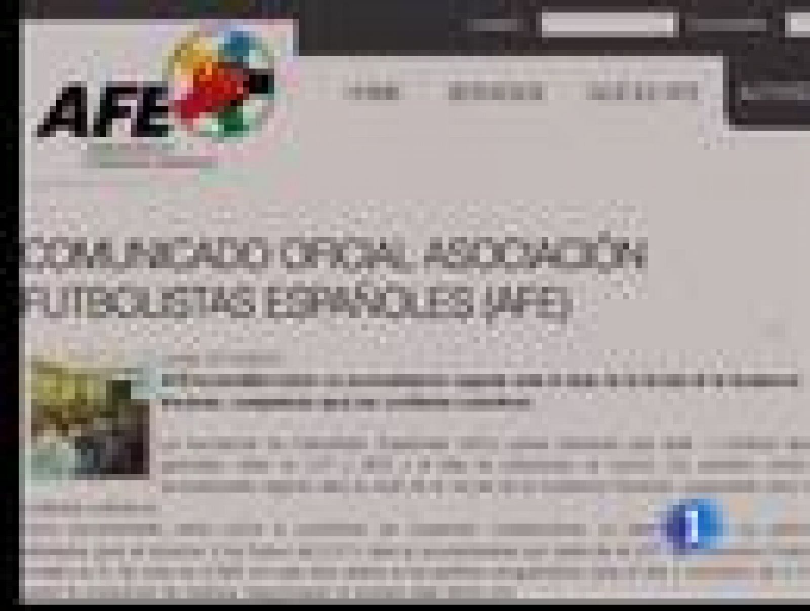 La Asociación de Futbolistas Españoles (AFE) tendría que depositar una fianza para hacer frente a posibles daños y perjuicios en el caso de que la Sala de lo Social de la Audiencia Nacional decida suspender cautelarmente los partidos previstos para e