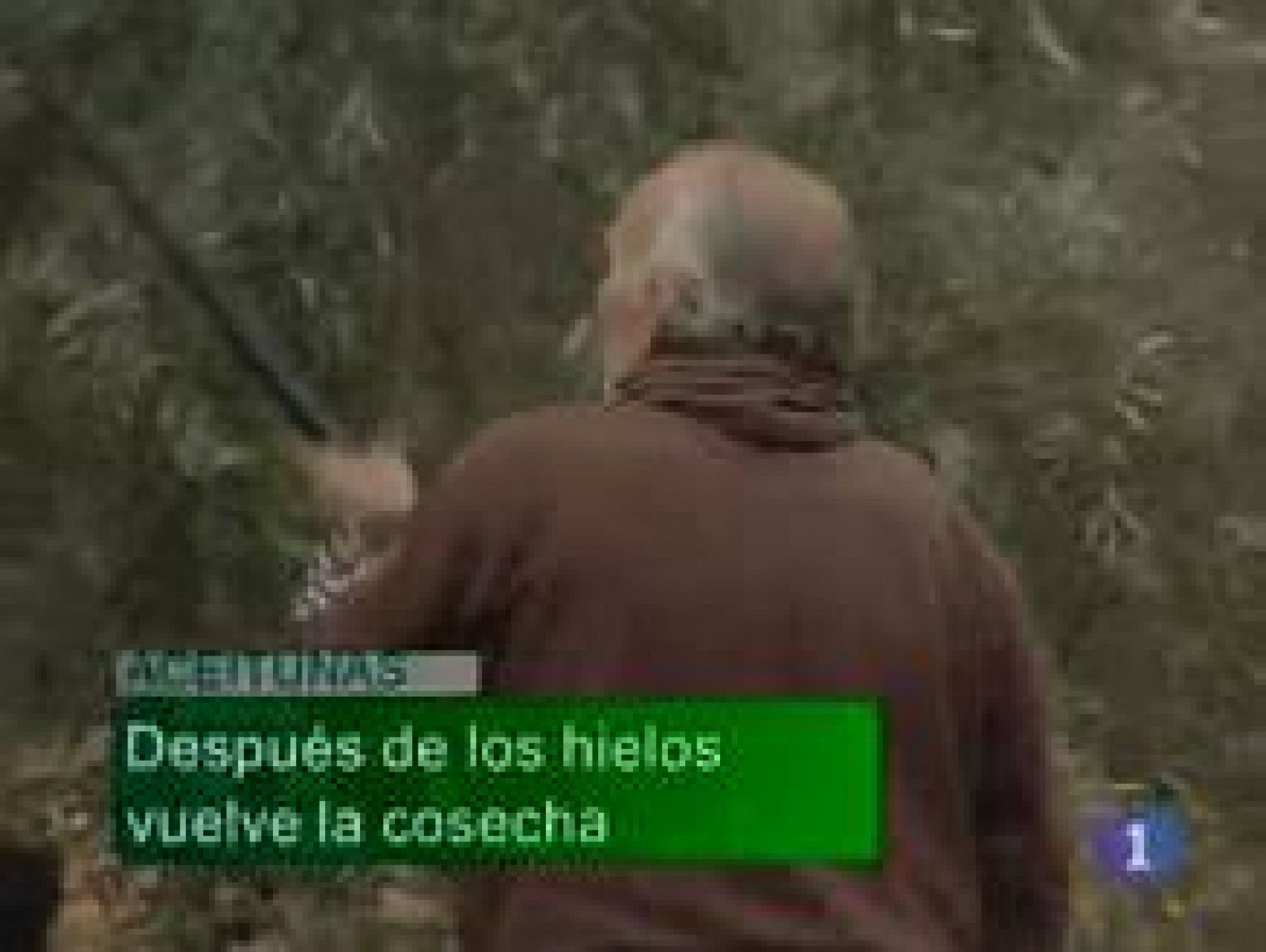 Noticias de Castilla-La Mancha - 28/12/10 - Noticias de Castilla-La Mancha | Ver