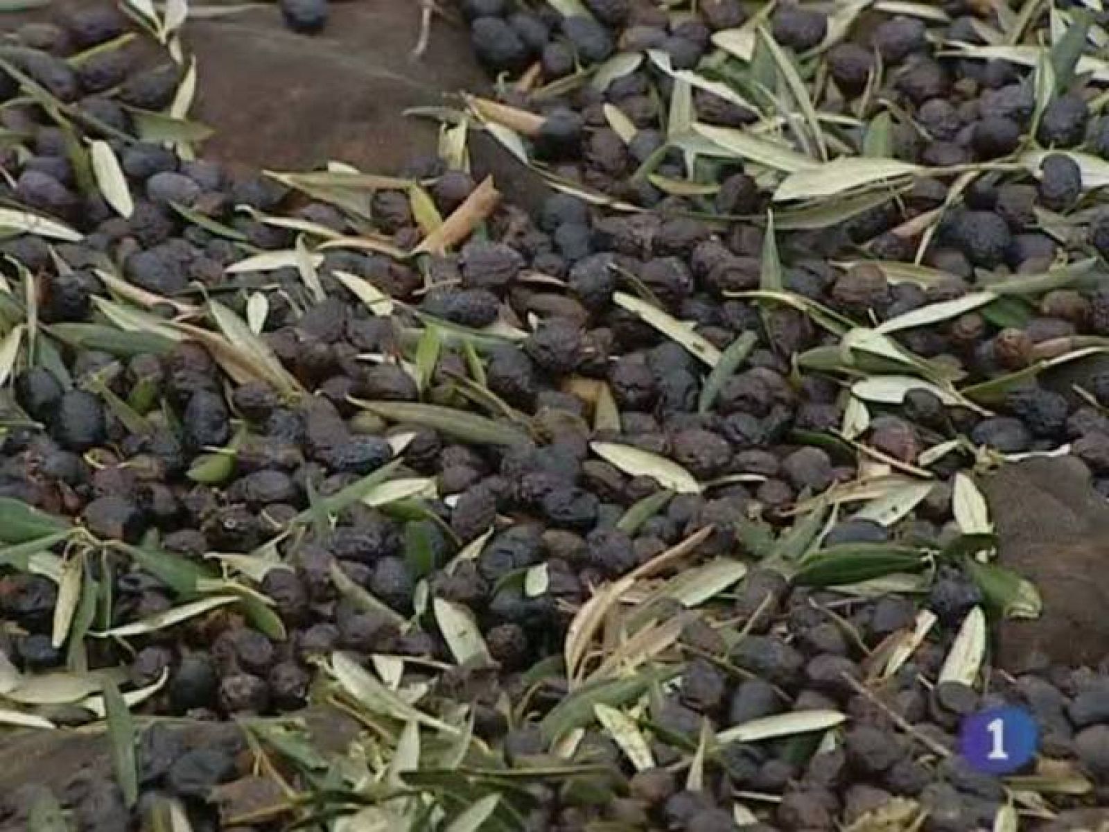 Castilla-La Mancha en 2' - 28/12/10 | Ver