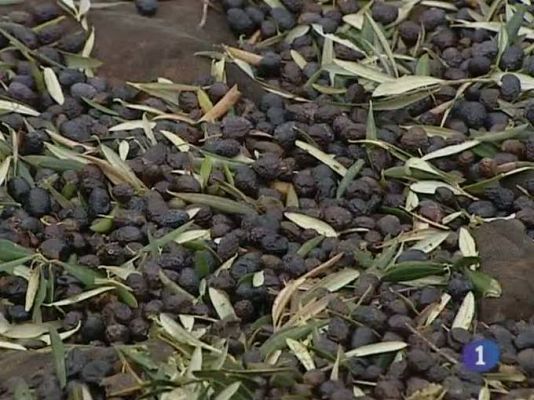 Noticias de Castilla-La Mancha - Castilla-La Mancha en 2' - 28/12/10