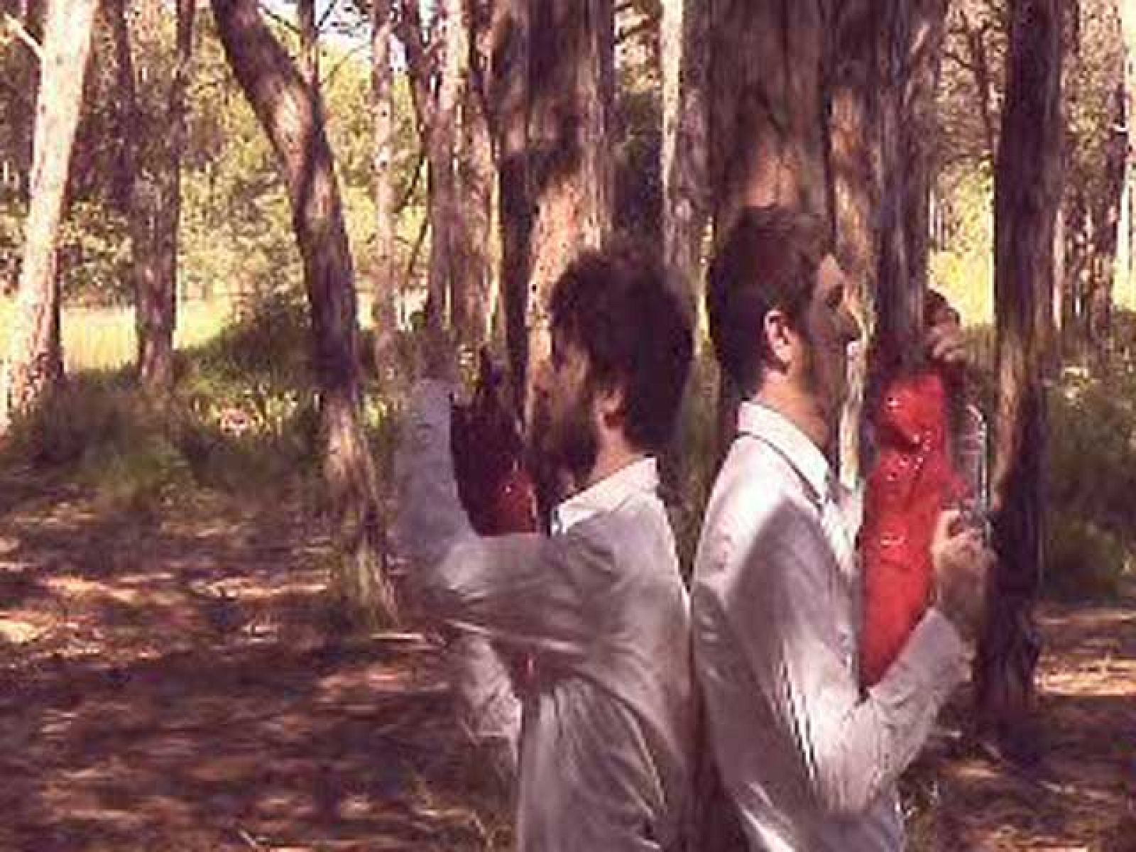 Zzz - Mañana puedes - Batirte en duelo | Ver