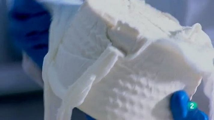 Biodiario - Biodiario - 29/12/10