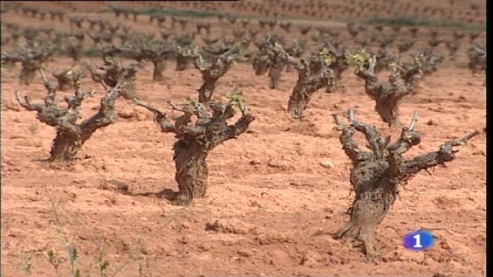 L'informatiu - Comunitat Valenciana - L'Informatiu Comunitat Valenciana - 30/12/10