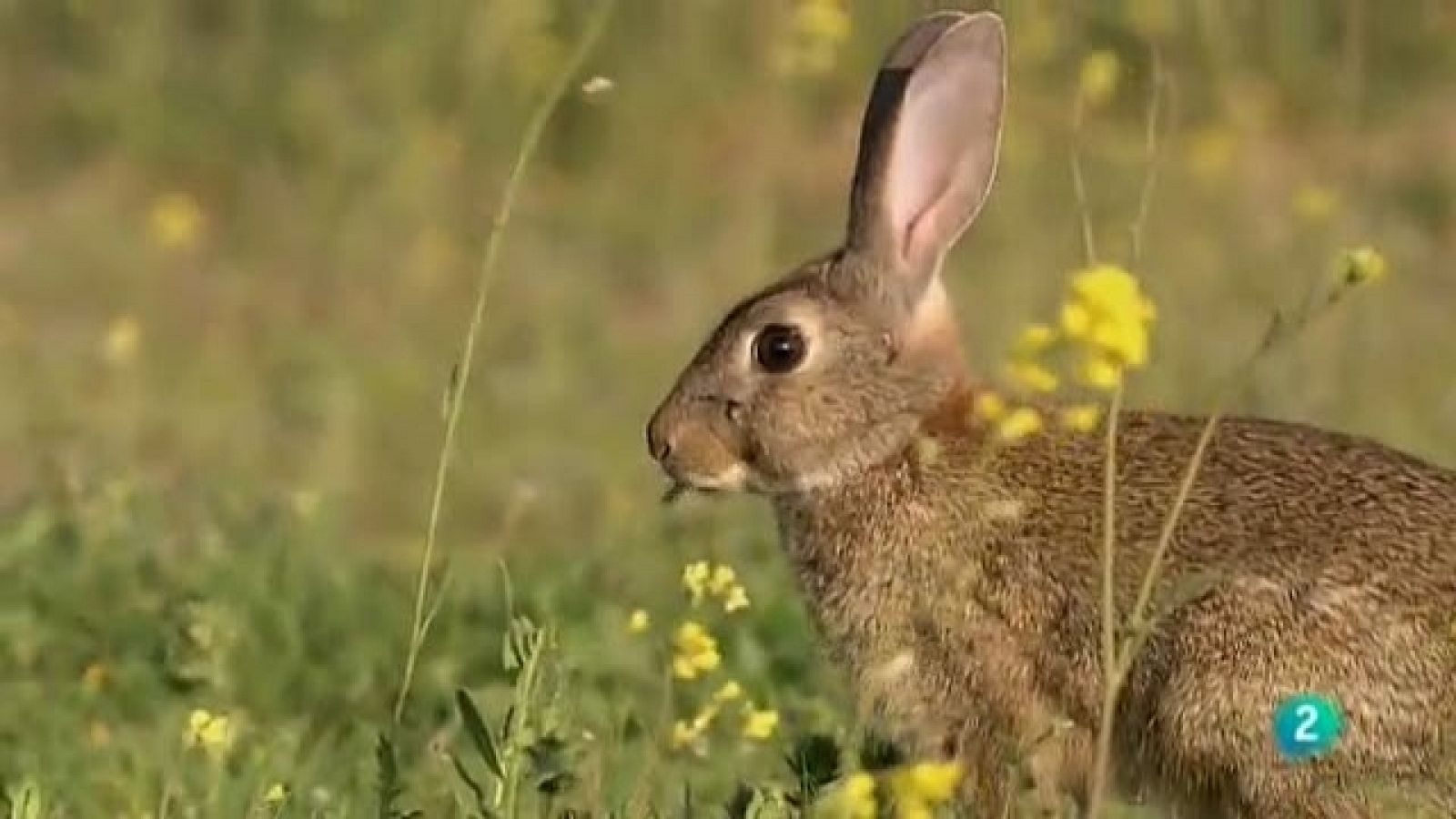 Biodiario - 30/12/10 - Biodiario | Ver