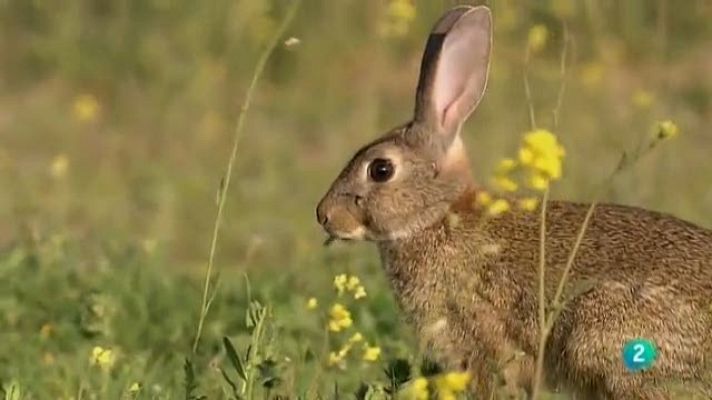 Biodiario - Biodiario - 30/12/10