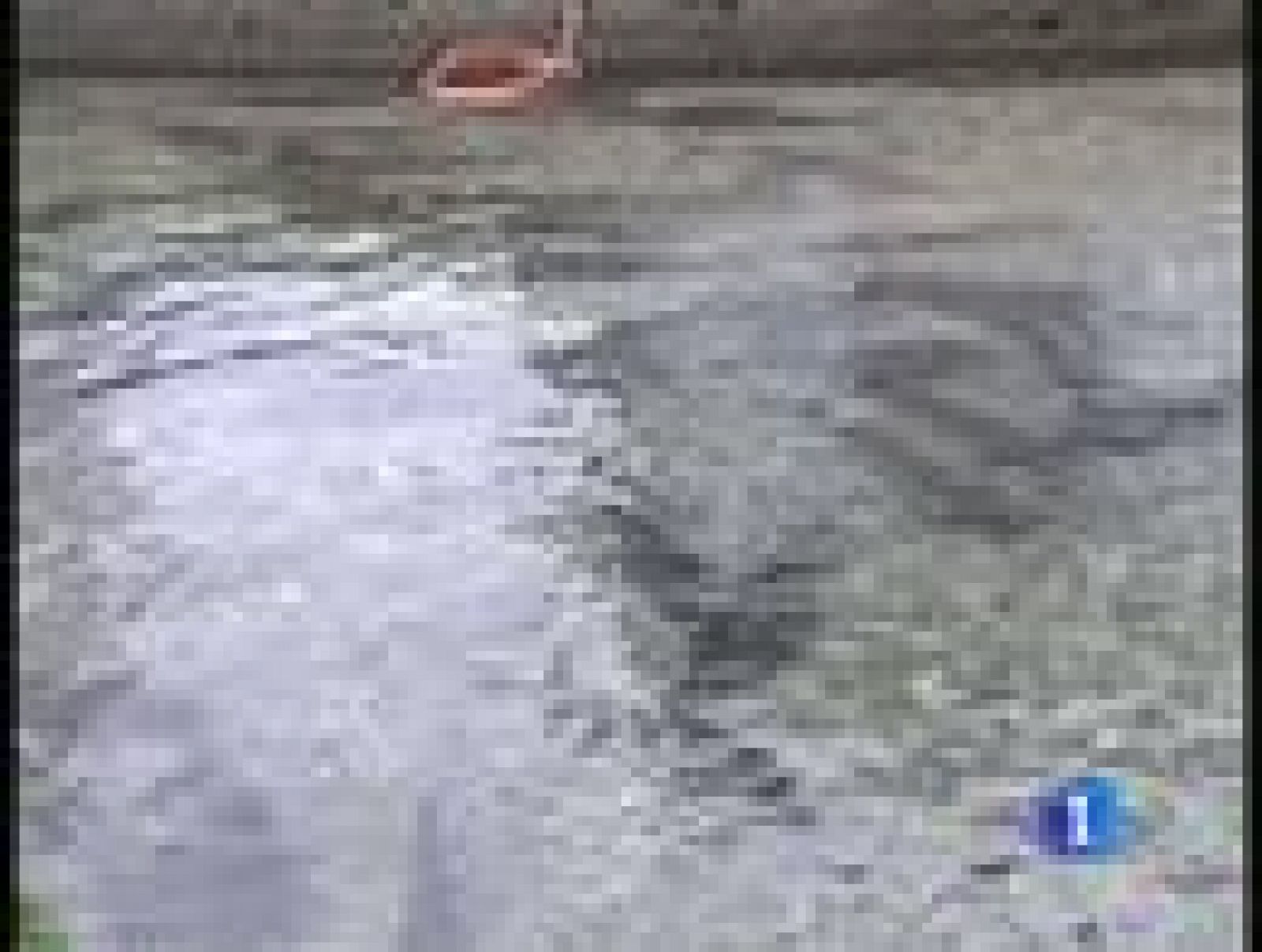 En Riofrío, Granada, se produce el único caviar ecológico de España