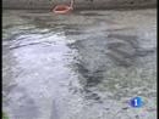 Telediario 1 - Caviar ecológico