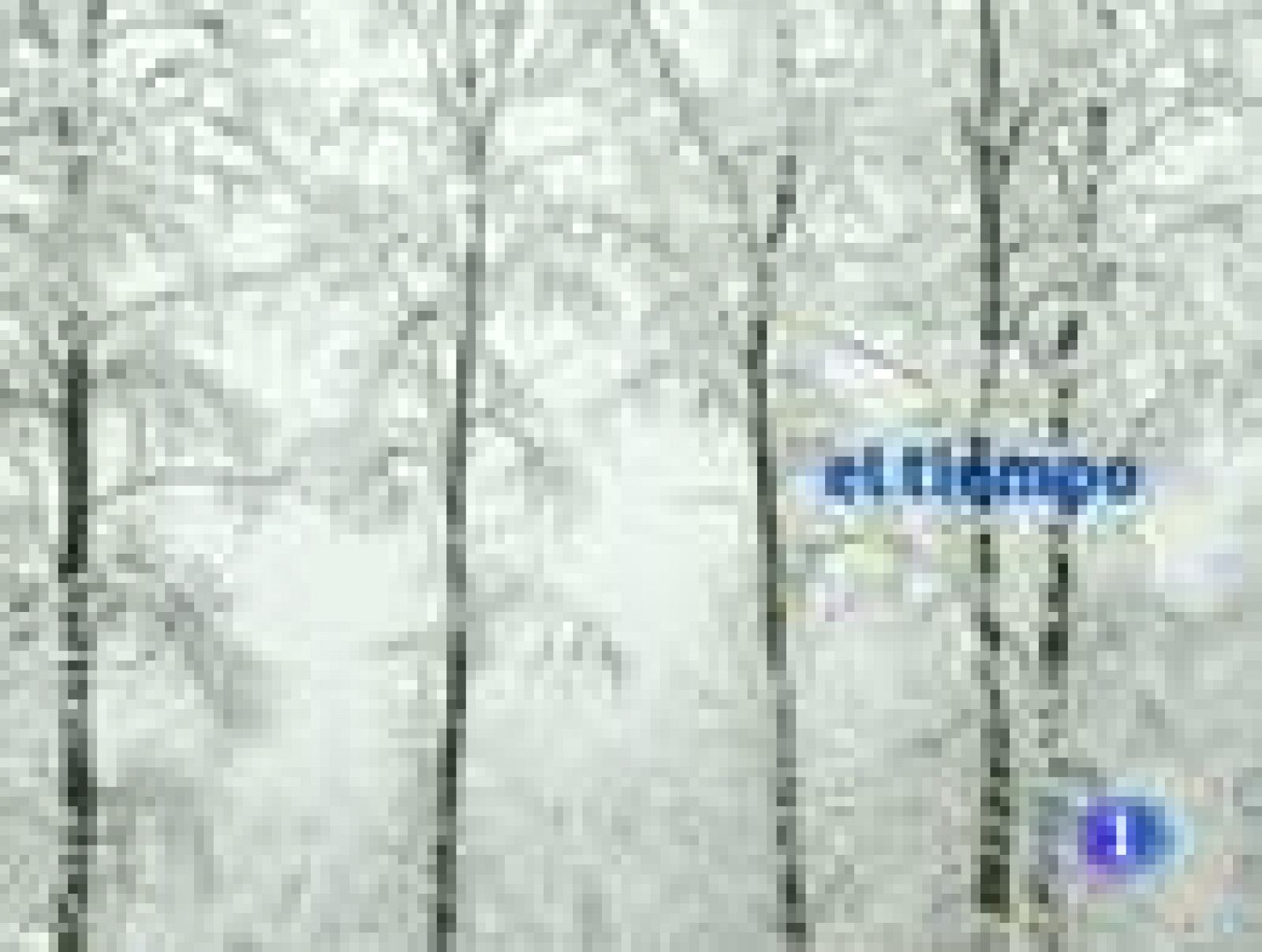 El tiempo en Canarias - 31/12/10 | Ver