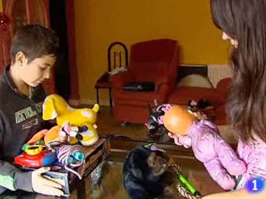  - Juguetes solidarios: aprendiendo a compartir