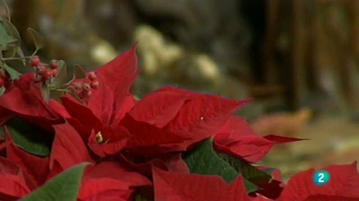 La Missa - La Missa - 02/01/11