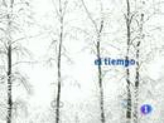 Noticias de Castilla y León - El tiempo en Castilla y León - 03/01/11