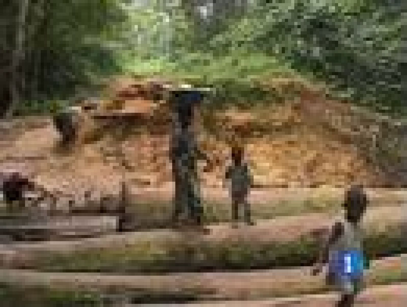 La complicada situación en Costa de Marfil ha obligado a intervenir a La Comunidad de Estados de África Occidental y la Unión Africana | Ver