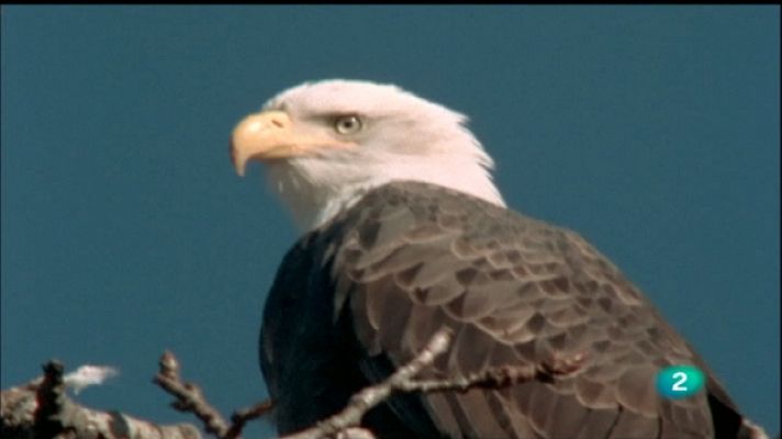 El hombre y la Tierra - Operación rescate