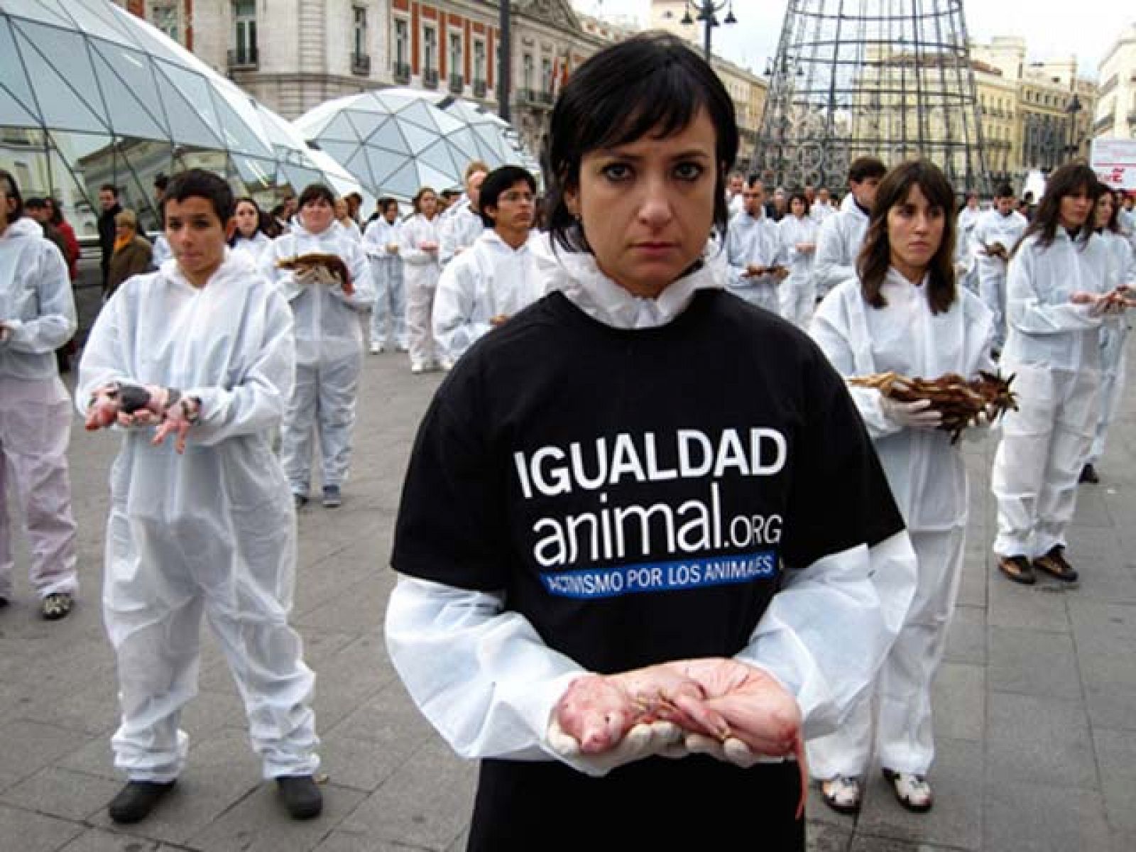 On Off: Manifestación de Igualdad Animal