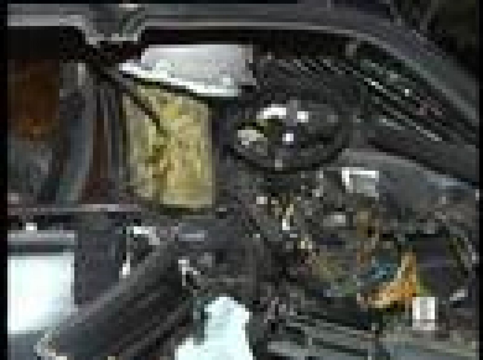 Muere por un conductor sin carné | Ver