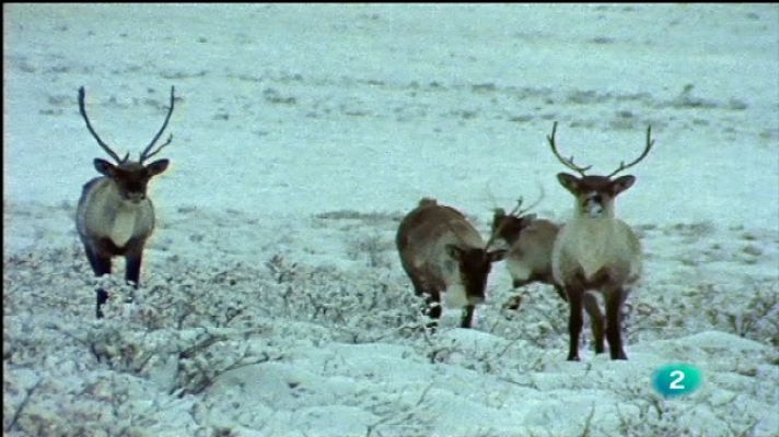 El hombre y la Tierra - Invierno en Canadá