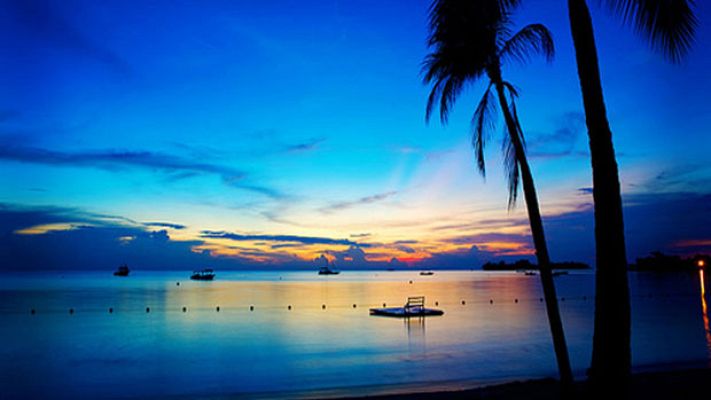 Españoles en el mundo - Jamaica