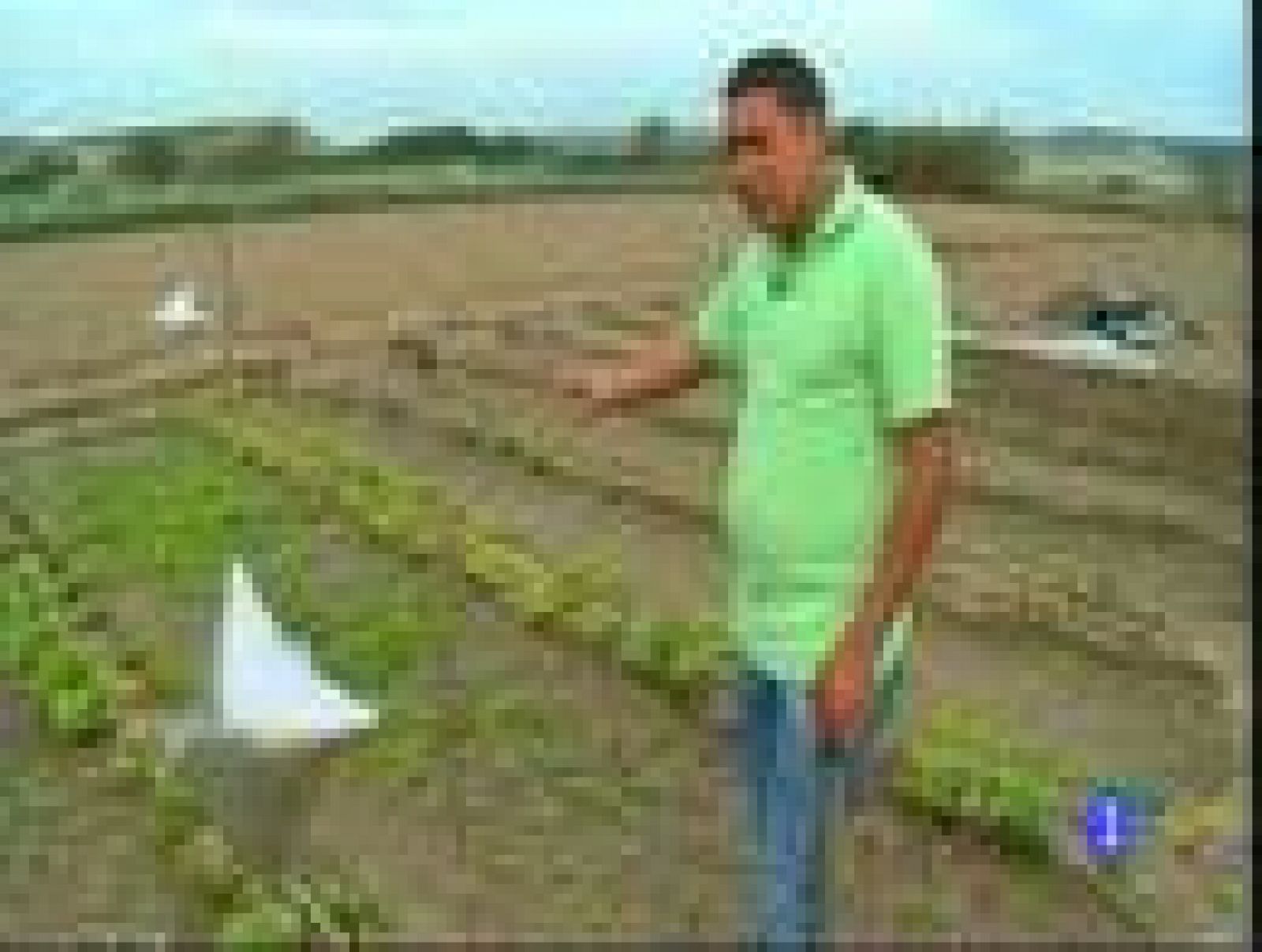 Destino: Navarra, Antonio Rodriguez