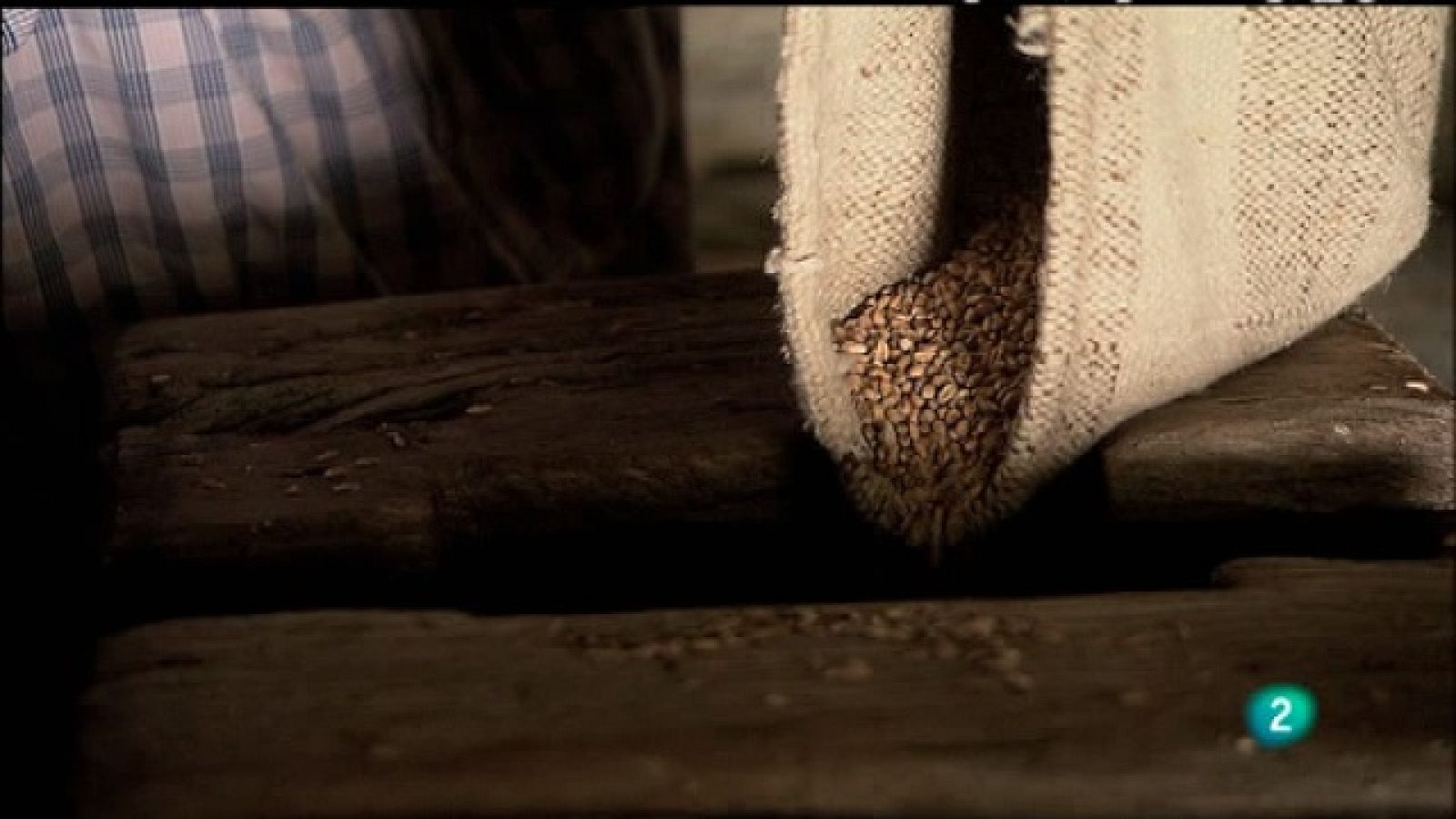 Biodiario - 05/01/11 - Biodiario | Ver