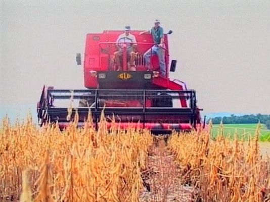 ONU alerta del precio de alimentos