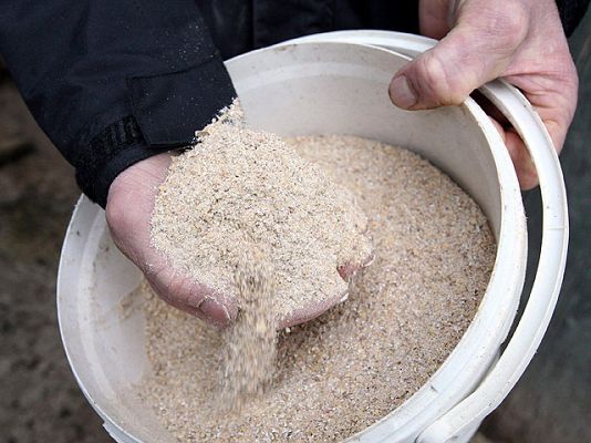 Telediario 1 - Piensos con dioxinas