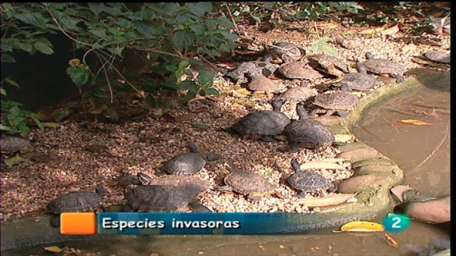 España en comunidad - 09/01/11 - España en comunidad | Ver